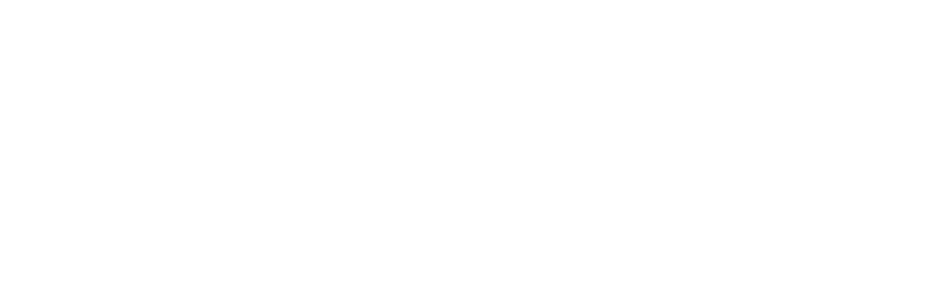 Digital Government Authority (DGA)