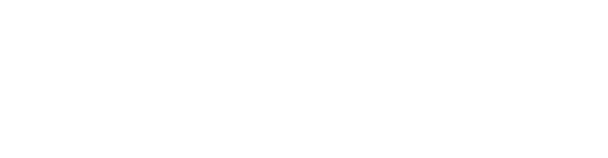 Deutsche Gesellschaft für Internationale Zusammenarbeit (GIZ)