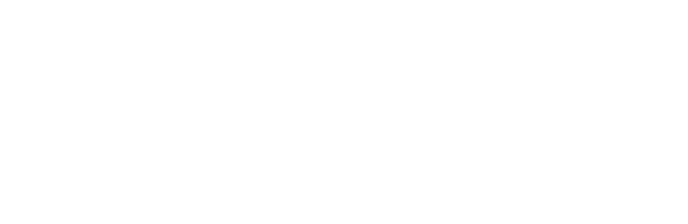 Mondia Group